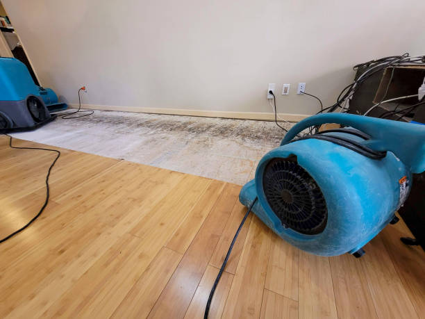 Professional Structural Drying technician working in Glen Ellyn, IL
